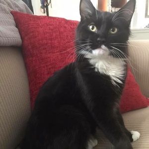 Meet your Posher, Eva